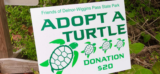 Adopt a Turtle - Meeresschildkrötenschutz in Florida Adopt a Turtle - Meeresschildkrötenschutz in Florida