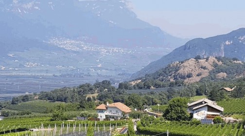 Montan mit Blick zum Kalterer See