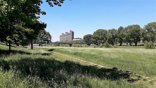 Mannheim: Neckarufer mit 